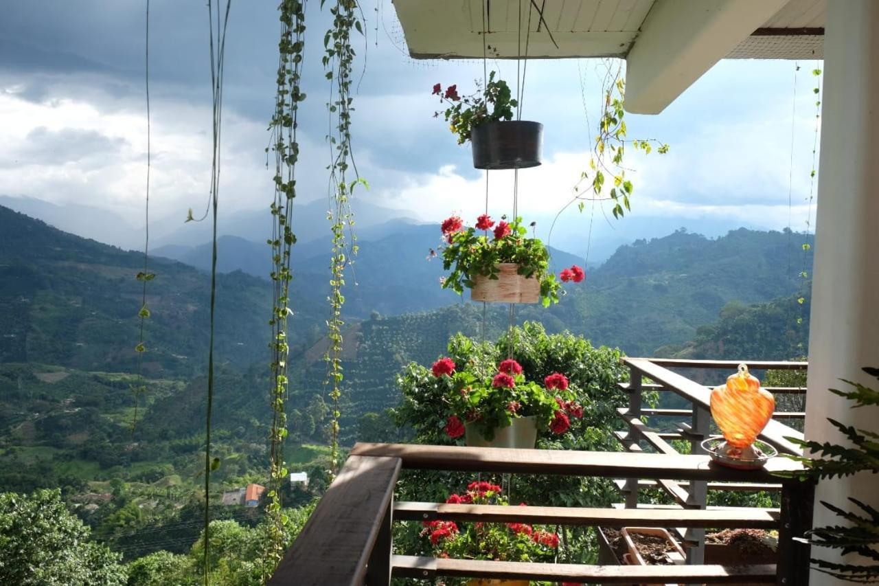 Casa Nativo Villa Jardin Ngoại thất bức ảnh
