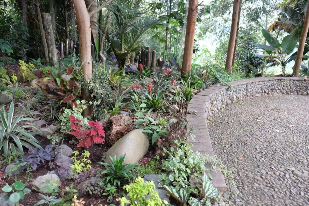 Casa Nativo Villa Jardin Ngoại thất bức ảnh