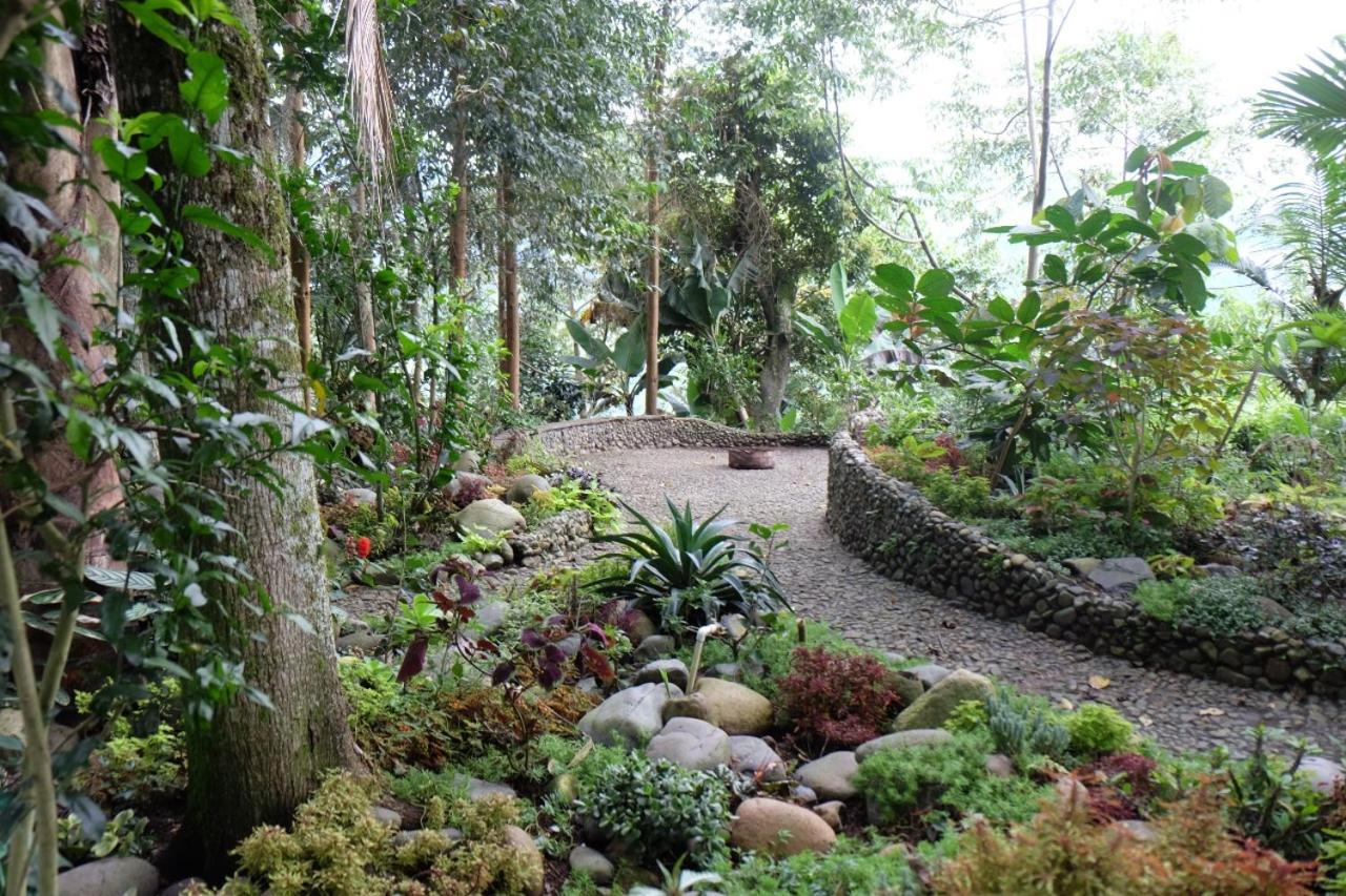 Casa Nativo Villa Jardin Ngoại thất bức ảnh