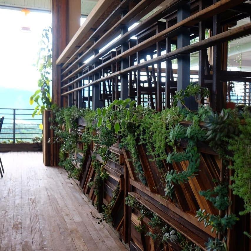 Casa Nativo Villa Jardin Ngoại thất bức ảnh