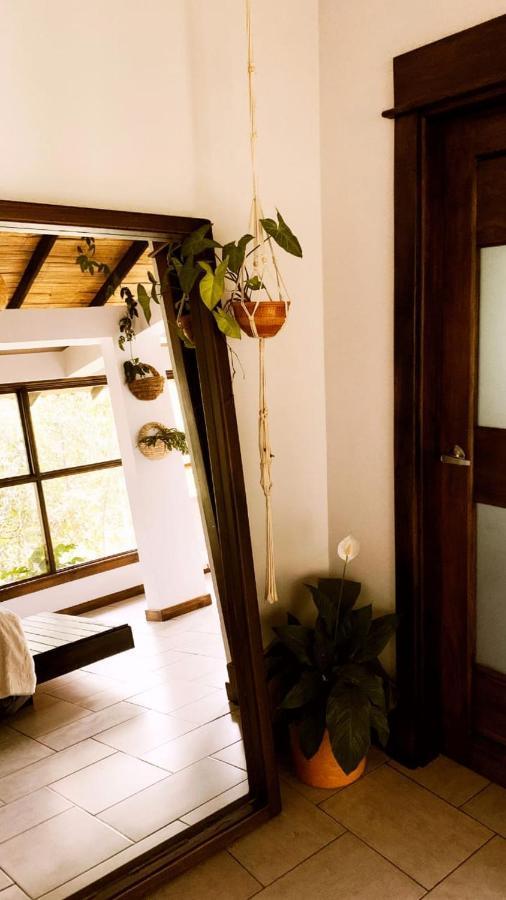 Casa Nativo Villa Jardin Ngoại thất bức ảnh